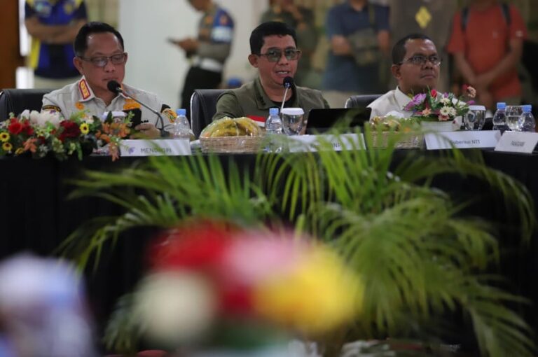 bnpb-tetapkan-8-langkah-strategis-tangani-dampak-gempa-m77-di-ntt-bnw.jpg